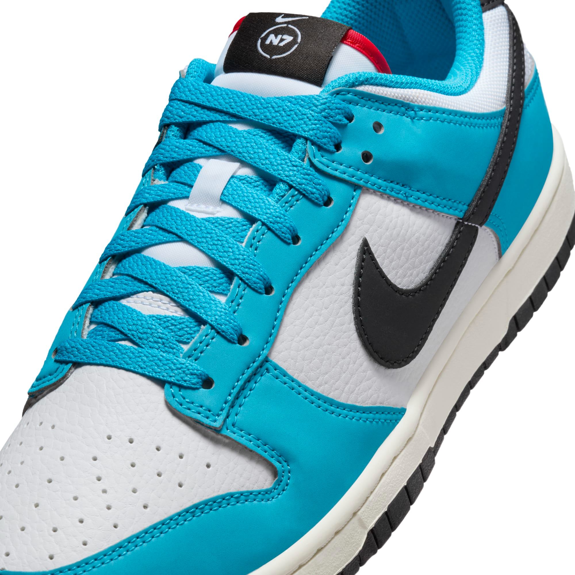 The Nike Dunk Low Next Nature 